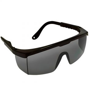 Óculos De Segurança Fenix Modelo Rj Antirrisco - DANNY C.A. 9722
